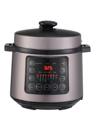 Pressure Cooker (2)